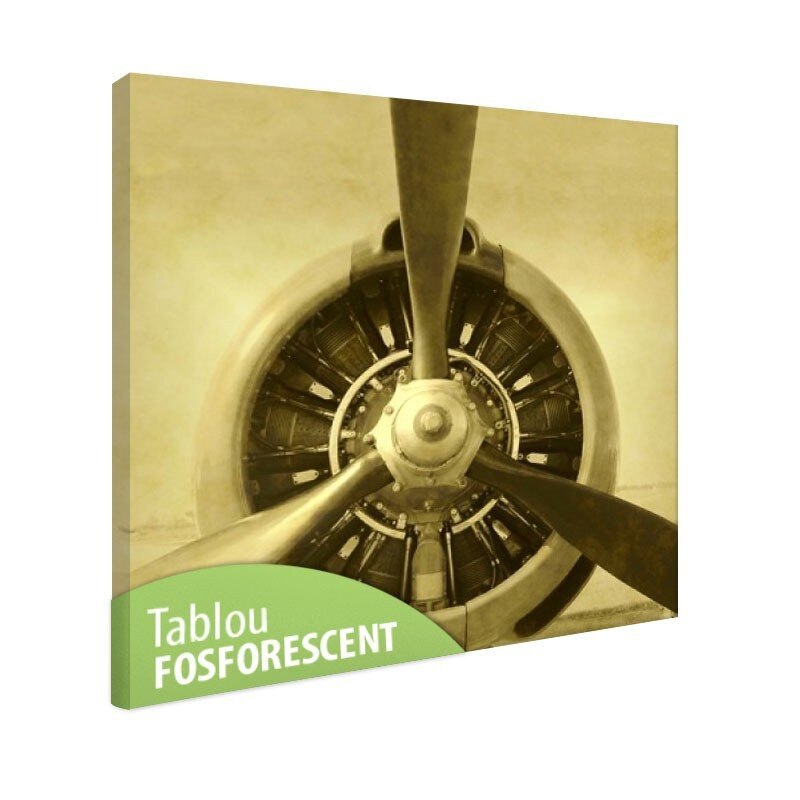 Tablou fosforescent Motor cu elice 80x80 cm